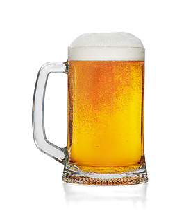 Host Tank Beer Mug 500ml Capacity Certified (24)