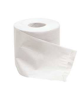 GreenTrail Toilet Paper 2 Ply 400 Sheets 48 Per Ctn